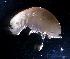  ( - 31825_4.3)  @13 [ ] Unspecified (default): All Rights Reserved  Unspecified Unspecified