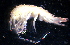  ( - 31830_3)  @13 [ ] Unspecified (default): All Rights Reserved  Unspecified Unspecified