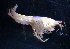  ( - 31830_14.2)  @13 [ ] Unspecified (default): All Rights Reserved  Unspecified Unspecified