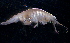  ( - 31841_4)  @13 [ ] Unspecified (default): All Rights Reserved  Unspecified Unspecified