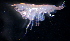  (PhoxocephalidaeNZD sp. 31 - 31841_18.4)  @13 [ ] Unspecified (default): All Rights Reserved  Unspecified Unspecified