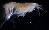  ( - 31848_19.2)  @14 [ ] Unspecified (default): All Rights Reserved  Unspecified Unspecified