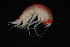  ( - 35910)  @13 [ ] Unspecified (default): All Rights Reserved  Unspecified Unspecified