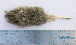  ( - CMIAO143)  @11 [ ] Unspecified (default): All Rights Reserved  Unspecified Unspecified