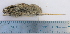 ( - CMIAO143)  @11 [ ] Unspecified (default): All Rights Reserved  Unspecified Unspecified