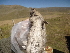 ( - CMIAO196)  @13 [ ] Unspecified (default): All Rights Reserved  Unspecified Unspecified