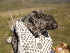  ( - CMIAO207)  @11 [ ] Unspecified (default): All Rights Reserved  Unspecified Unspecified