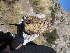  ( - CMIAO217)  @11 [ ] Unspecified (default): All Rights Reserved  Unspecified Unspecified