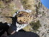  ( - CMIAO222.3)  @11 [ ] Unspecified (default): All Rights Reserved  Unspecified Unspecified