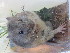  ( - CMIAO377)  @11 [ ] Unspecified (default): All Rights Reserved  Unspecified Unspecified