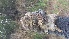  ( - CMIPLS263)  @11 [ ] Unspecified (default): All Rights Reserved  Unspecified Unspecified