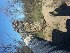  ( - CMIPLS265)  @11 [ ] Unspecified (default): All Rights Reserved  Unspecified Unspecified