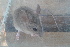  ( - UNLS-ACO68)  @11 [ ] Unspecified (default): All Rights Reserved  Unspecified Unspecified