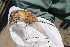  ( - UNSL-ACO95)  @11 [ ] Unspecified (default): All Rights Reserved  Unspecified Unspecified