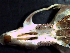  ( - UNLcs25)  @11 [ ] Unspecified (default): All Rights Reserved  Unspecified Unspecified