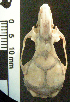  ( - CMI CL122)  @12 [ ] Unspecified (default): All Rights Reserved  Unspecified Unspecified