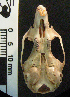  ( - CMI CL122)  @12 [ ] Unspecified (default): All Rights Reserved  Unspecified Unspecified