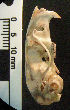  ( - CMI CL122)  @12 [ ] Unspecified (default): All Rights Reserved  Unspecified Unspecified