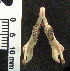  ( - CMI CL122)  @12 [ ] Unspecified (default): All Rights Reserved  Unspecified Unspecified