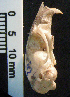  ( - CMI CL25)  @11 [ ] Unspecified (default): All Rights Reserved  Unspecified Unspecified
