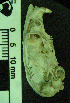  ( - CMI AN34)  @12 [ ] Unspecified (default): All Rights Reserved  Unspecified Unspecified
