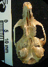  ( - CMI AN12)  @12 [ ] Unspecified (default): All Rights Reserved  Unspecified Unspecified