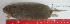  ( - CMI AO67)  @11 [ ] Unspecified (default): All Rights Reserved  Unspecified Unspecified