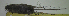  (Graomys - CMI CL122)  @14 [ ] Unspecified (default): All Rights Reserved  Unspecified Unspecified