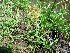  ( - AQLR1)  @11 [ ] Copyright (2015) G D Khedkar Paul Hebert Centre For DNA Barcoding And Biodiversity Studies