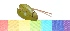  ( - AW_10)  @11 [ ] Copyright (2014) PHCDBS Paul Hebert Centre For DNA Barcoding And Biodiversity Studies