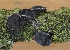  (Sclerencoelia fraxinicola - SNMM28_4)  @11 [ ] CreativeCommons - Attribution Non-Commercial Share-Alike (2018) Adam Polhorsky Slovak National Museum-Natural History Museum