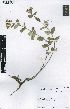  ( - Abbott8978)  @11 [ ] No Rights Reserved  Unspecified Unspecified