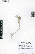  ( - CP151)  @11 [ ] No Rights Reserved  Unspecified Unspecified