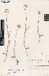  ( - Fa.Brusse4975)  @11 [ ] No Rights Reserved  Unspecified Unspecified