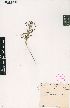  ( - FABIAN1246)  @11 [ ] No Rights Reserved  Unspecified Unspecified