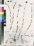  ( - Germishuizen5679)  @11 [ ] No Rights Reserved  Unspecified Unspecified
