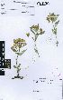  ( - Grieve24a)  @11 [ ] No Rights Reserved  Unspecified Unspecified