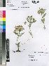  ( - Grieve24C)  @11 [ ] No Rights Reserved  Unspecified Unspecified