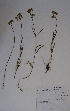  ( - LEM60)  @11 [ ] No Rights Reserved  Unspecified Unspecified