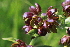  ( - MG137)  @11 [ ] No Rights Reserved  Unspecified Unspecified