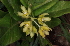  ( - MG162)  @11 [ ] No Rights Reserved  Unspecified Unspecified