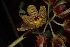  ( - MG215)  @11 [ ] No Rights Reserved  Unspecified Unspecified