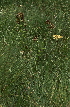  ( - MG222)  @11 [ ] No Rights Reserved  Unspecified Unspecified