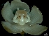  ( - MG233)  @11 [ ] No Rights Reserved  Unspecified Unspecified