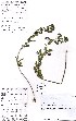  ( - Master131)  @11 [ ] No Rights Reserved  Unspecified Unspecified