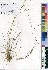  ( - OM0642)  @11 [ ] No Rights Reserved  Unspecified Unspecified