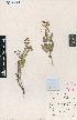  ( - OMH16169)  @11 [ ] No Rights Reserved  Unspecified Unspecified