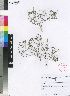  ( - SPB08550)  @11 [ ] No Rights Reserved  Unspecified Unspecified