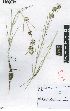  ( - SPB10831)  @11 [ ] No Rights Reserved  Unspecified Unspecified