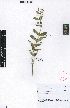  ( - SPB10932)  @11 [ ] No Rights Reserved  Unspecified Unspecified